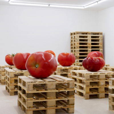 Several oversized, realistic tomato sculptures are displayed on stacks of wooden pallets in a white-walled, modern gallery space with fluorescent ceiling lights.