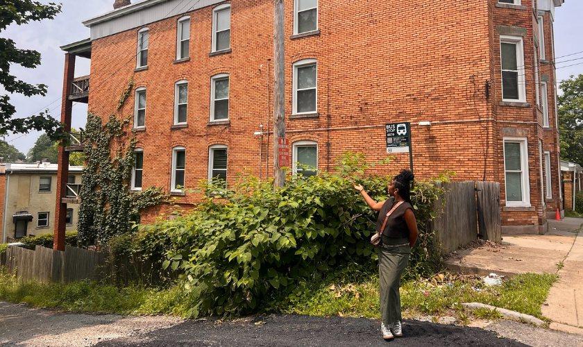 A person with a bun and backpack stands on a street, pointing at a wooden pole near a brick apartment building covered partly with green vines and bushes.