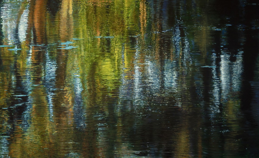 Colorful reflections of trees and sky ripple across the surface of a calm body of water.