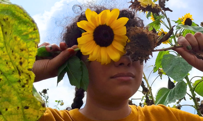 Person holding a sunflower in front of their face in a field, wearing a yellow shirt.