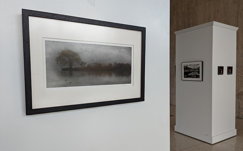 A gallery exhibition featuring nature photographs on white podiums