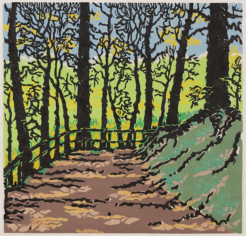 Artwork of a walking trail in a forest