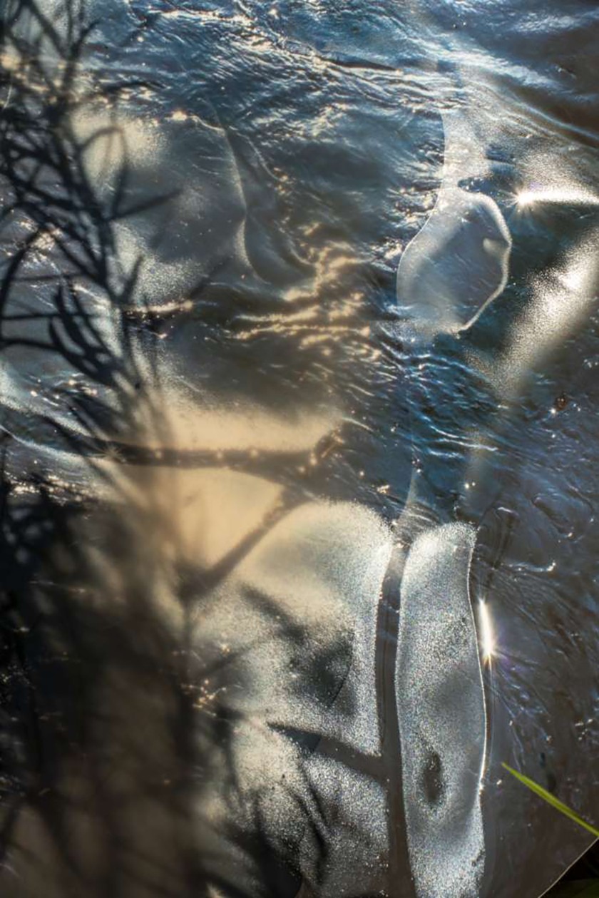 Detailed photograph of outdoor scene