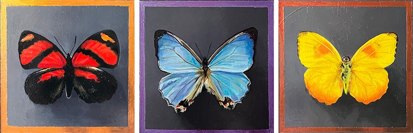 Three separate paintings of colorful butterflies are shown side-by-side