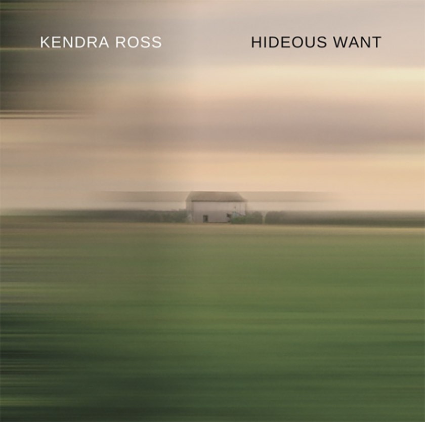 Kendra Ross Hideous Want album cover featuring a blurry pastoral scene