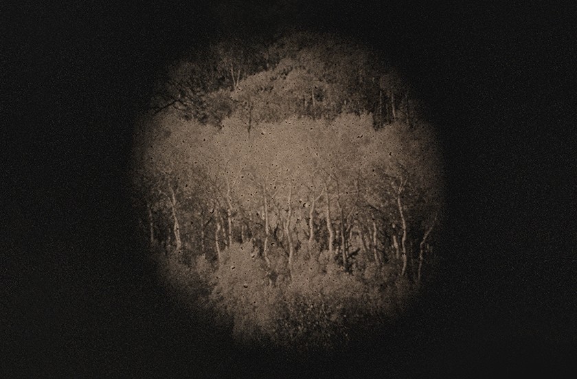 Circular sepia-toned image of trees, surrounded by blackness