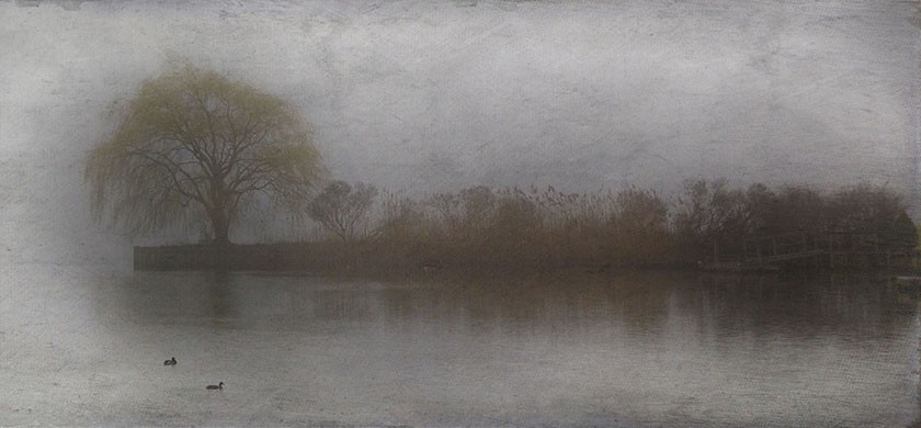 A scene of a foggy river, land, and trees