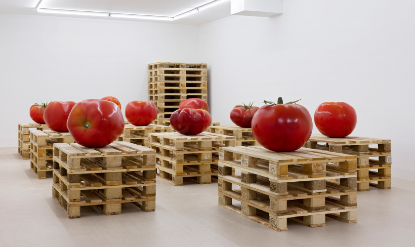 Several oversized, realistic tomato sculptures are displayed on stacks of wooden pallets in a white-walled, modern gallery space with fluorescent ceiling lights.